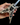 Dimebag Darrell Rust Razorback Mini Guitar Model