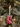 EVH Frankenstein Guitar Holiday Ornament - 6"
