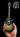 Adam Jones Les Paul Custom Antique Silverburst Miniature Guitar