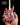EVH "Frankenstein" Eddie Van Halen Mini Guitar