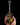Elvis Presley 68’ Special Hollow Body Mini Guitar