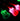 Acoustic Guitar Party Lights